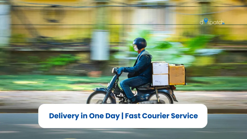 Delivery in One Day Fast Courier Service